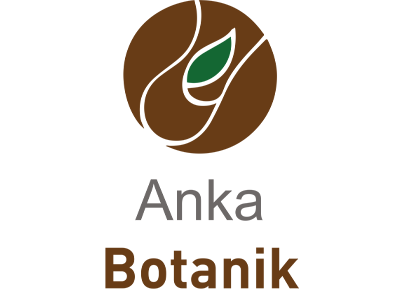 Anka Botanik